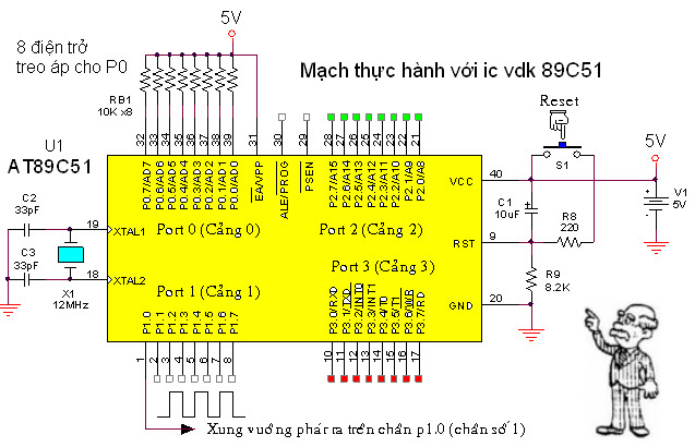 ic 555